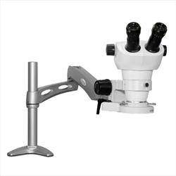 Kính hiển vi Scienscope NZ-PK3-E1